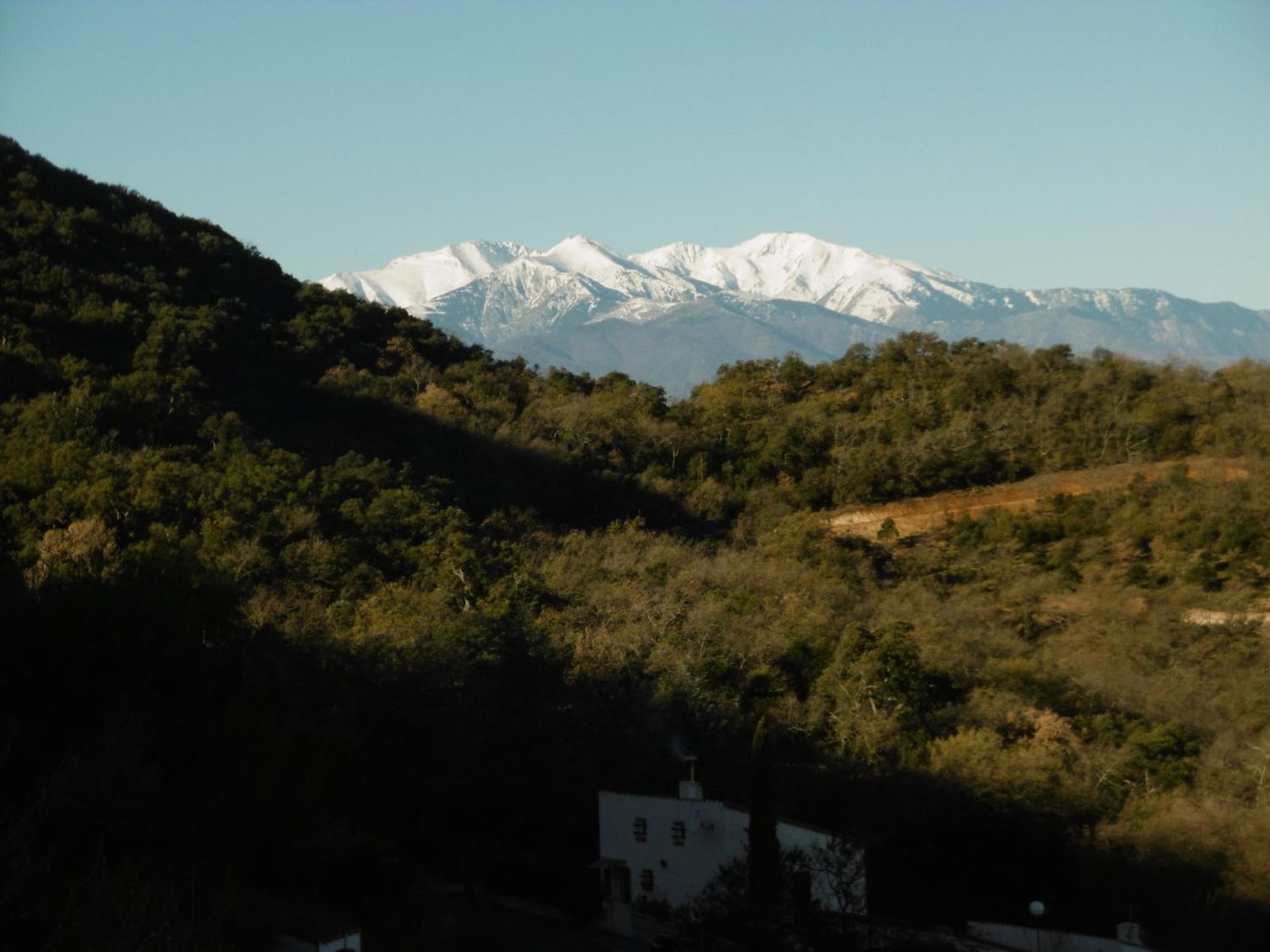 Villa O Petit Bonheur Laroque-des-Albères Esterno foto